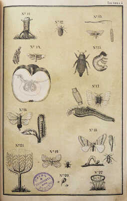 Муратов Л.А. Русское практическое руководство огородничества, садоводства и цветоводства... [М.], 1880.